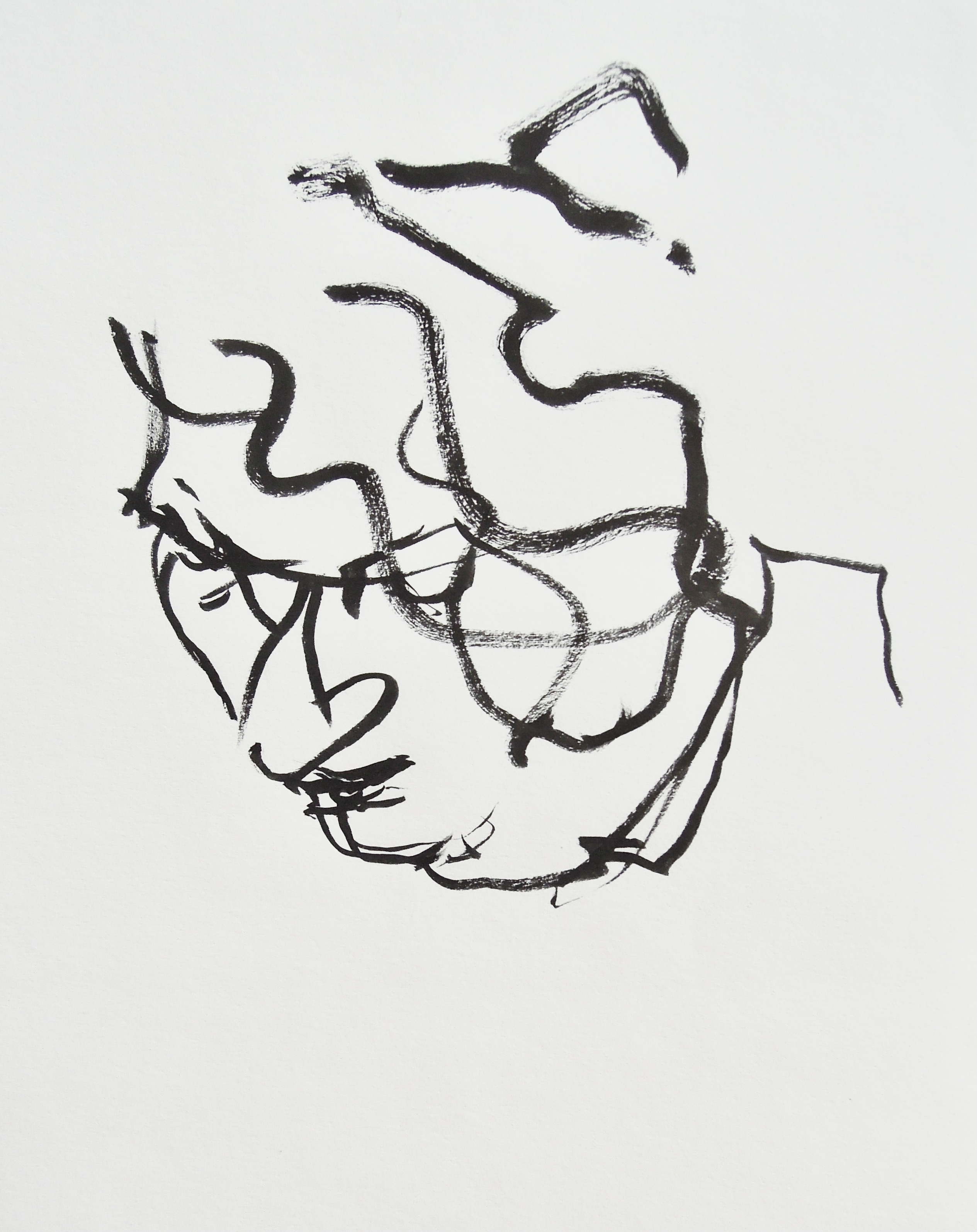 dessin